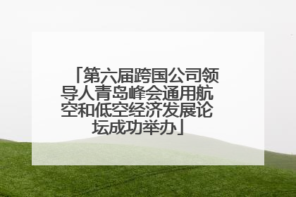 第六届跨国公司领导人青岛峰会通用航空和低空经济发展论坛成功举办