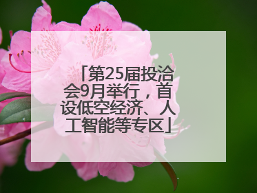 第25届投洽会9月举行，首设低空经济、人工智能等专区