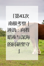 第41次南极考察｜通讯：向着暗夜与深海的科研坚守