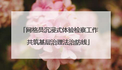 网格员沉浸式体验检察工作 共筑基层治理法治防线