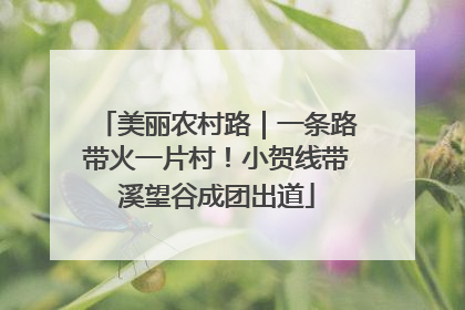 美丽农村路｜一条路带火一片村！小贺线带溪望谷成团出道