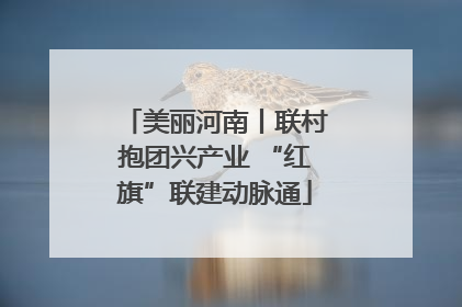 美丽河南丨联村抱团兴产业 “红旗”联建动脉通