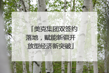 美克集团双签约落地，赋能新疆开放型经济新突破