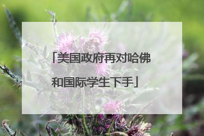 美国政府再对哈佛和国际学生下手