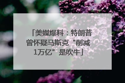 美媒爆料：特朗普曾怀疑马斯克“削减1万亿”是吹牛