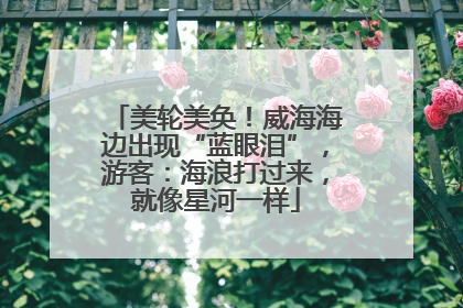 美轮美奂！威海海边出现“蓝眼泪”，游客：海浪打过来，就像星河一样