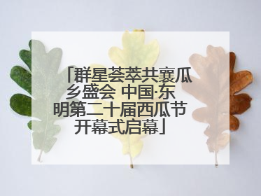 群星荟萃共襄瓜乡盛会 中国·东明第二十届西瓜节开幕式启幕