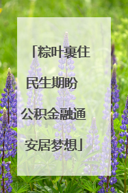粽叶裹住民生期盼 公积金融通安居梦想