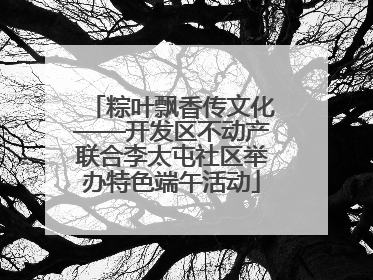 粽叶飘香传文化——开发区不动产联合李太屯社区举办特色端午活动