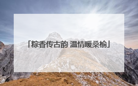 粽香传古韵 温情暖桑榆