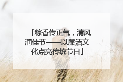 粽香传正气，清风润佳节——以廉洁文化点亮传统节日
