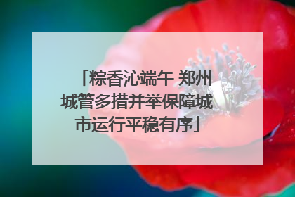 粽香沁端午 郑州城管多措并举保障城市运行平稳有序