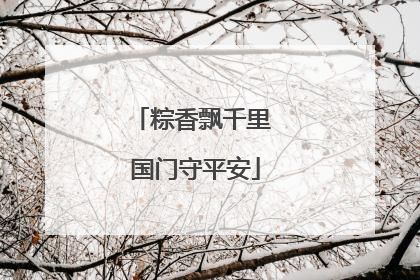 粽香飘千里 国门守平安