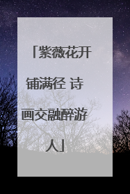 紫薇花开铺满径 诗画交融醉游人