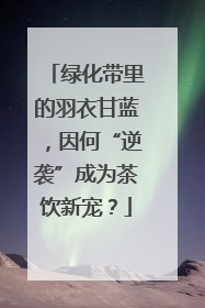 绿化带里的羽衣甘蓝，因何“逆袭”成为茶饮新宠？