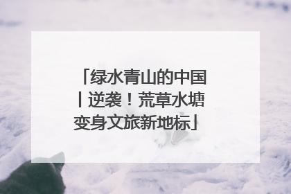 绿水青山的中国丨逆袭！荒草水塘变身文旅新地标