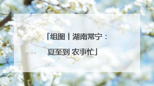 组图丨湖南常宁：夏至到 农事忙