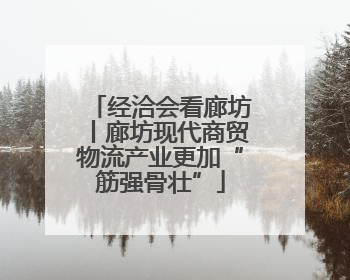 经洽会看廊坊丨廊坊现代商贸物流产业更加“筋强骨壮”