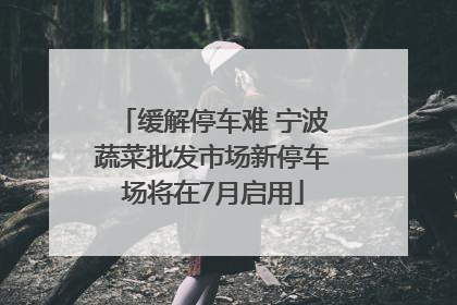 缓解停车难 宁波蔬菜批发市场新停车场将在7月启用