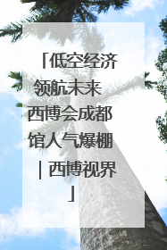 低空经济领航未来 西博会成都馆人气爆棚｜西博视界