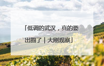 低调的武汉，真的要出圈了｜大刚观察
