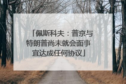 佩斯科夫：普京与特朗普尚未就会面事宜达成任何协议