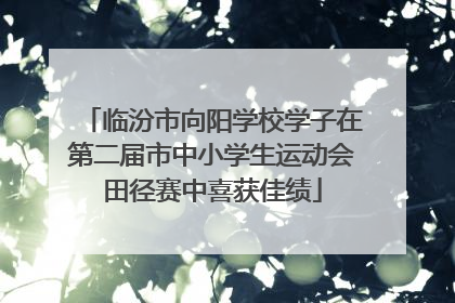 临汾市向阳学校学子在第二届市中小学生运动会田径赛中喜获佳绩