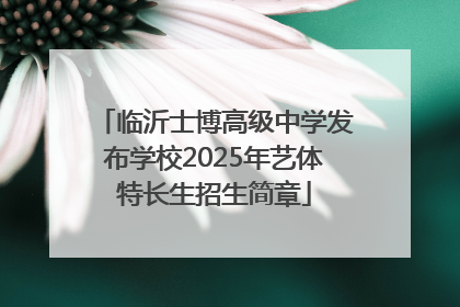 临沂士博高级中学发布学校2025年艺体特长生招生简章