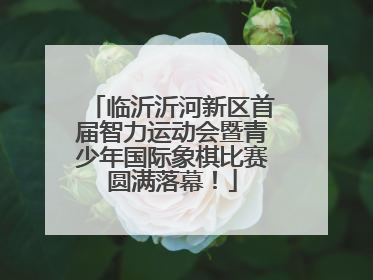 临沂沂河新区首届智力运动会暨青少年国际象棋比赛圆满落幕！