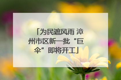 为民遮风雨 漳州市区新一批“巨伞”即将开工