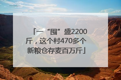 一“囤”盛2200斤，这个村470多个新粮仓存麦百万斤