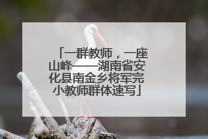 一群教师，一座山峰——湖南省安化县南金乡将军完小教师群体速写