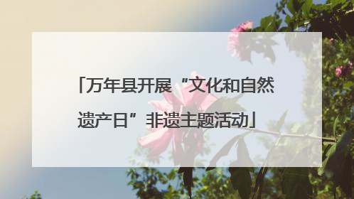 万年县开展“文化和自然遗产日”非遗主题活动