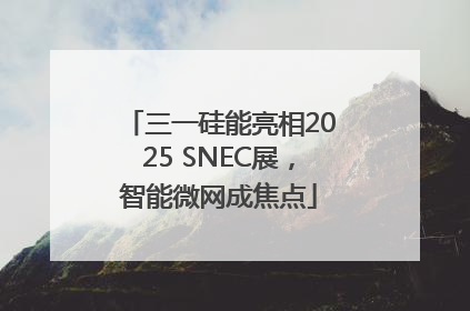 三一硅能亮相2025 SNEC展，智能微网成焦点