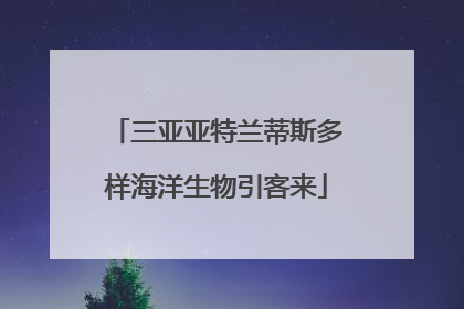 三亚亚特兰蒂斯多样海洋生物引客来
