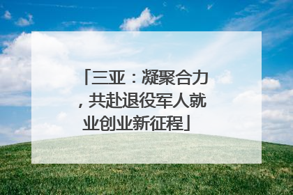 三亚：凝聚合力，共赴退役军人就业创业新征程