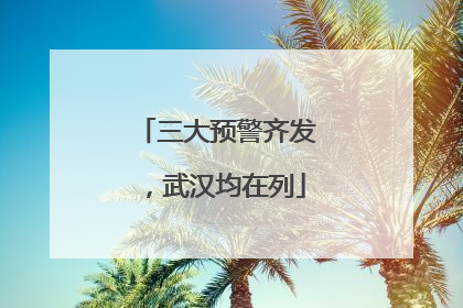 三大预警齐发，武汉均在列