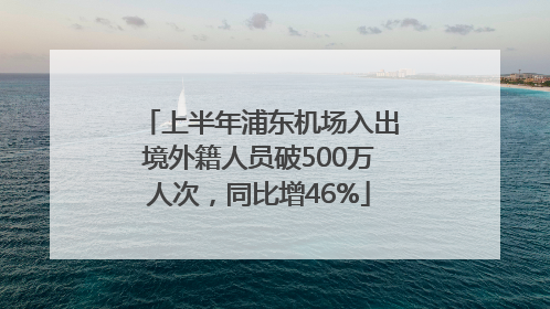 上半年浦东机场入出境外籍人员破500万人次，同比增46%
