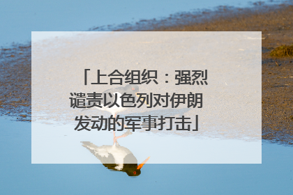 上合组织：强烈谴责以色列对伊朗发动的军事打击