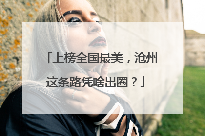 上榜全国最美，沧州这条路凭啥出圈？