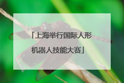 上海举行国际人形机器人技能大赛