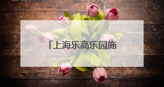 上海乐高乐园施工团队揭秘：“搭搭”与乐高大飞车是如何建造的？