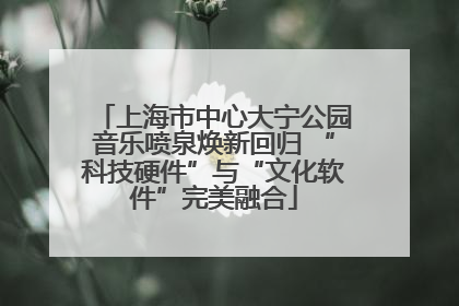 上海市中心大宁公园音乐喷泉焕新回归 “科技硬件”与“文化软件”完美融合