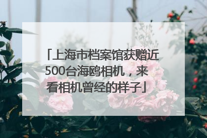 上海市档案馆获赠近500台海鸥相机，来看相机曾经的样子