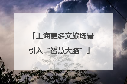 上海更多文旅场景引入“智慧大脑”