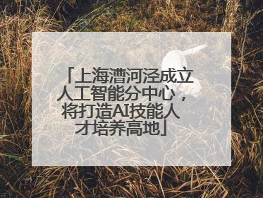 上海漕河泾成立人工智能分中心，将打造AI技能人才培养高地