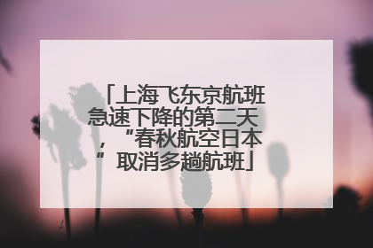 上海飞东京航班急速下降的第二天，“春秋航空日本”取消多趟航班