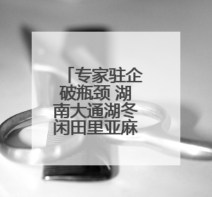 专家驻企破瓶颈 湖南大通湖冬闲田里亚麻“生金”