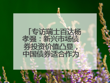 专访瑞士百达杨孝强：新兴市场债券投资价值凸显，中国债券适合作为“稳定器”