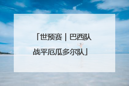 世预赛｜巴西队战平厄瓜多尔队